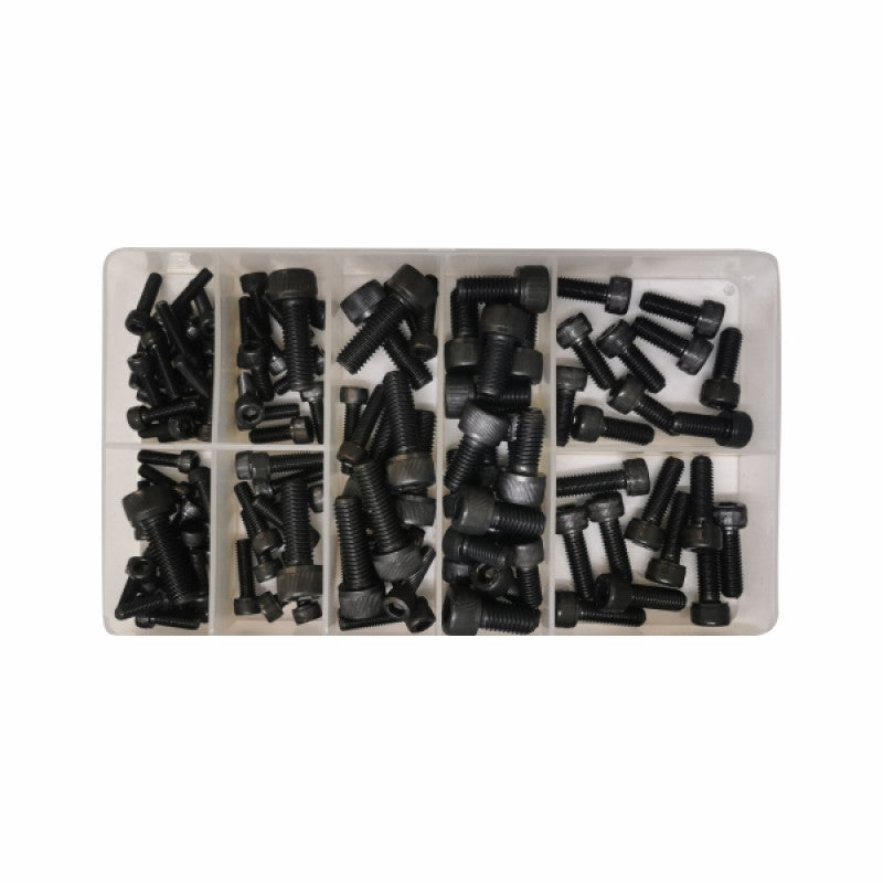 Cap Screws 120Pc